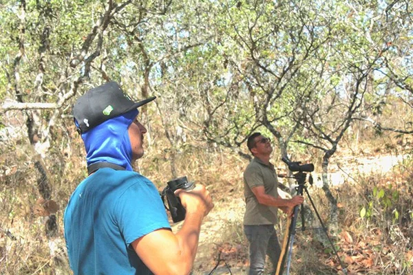 Private Macaw Birdwatching at Guacamayas Reserve with Biologist