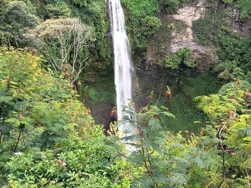 Bogor Botanical Garden, Waterfall and Rice Terrace Tour