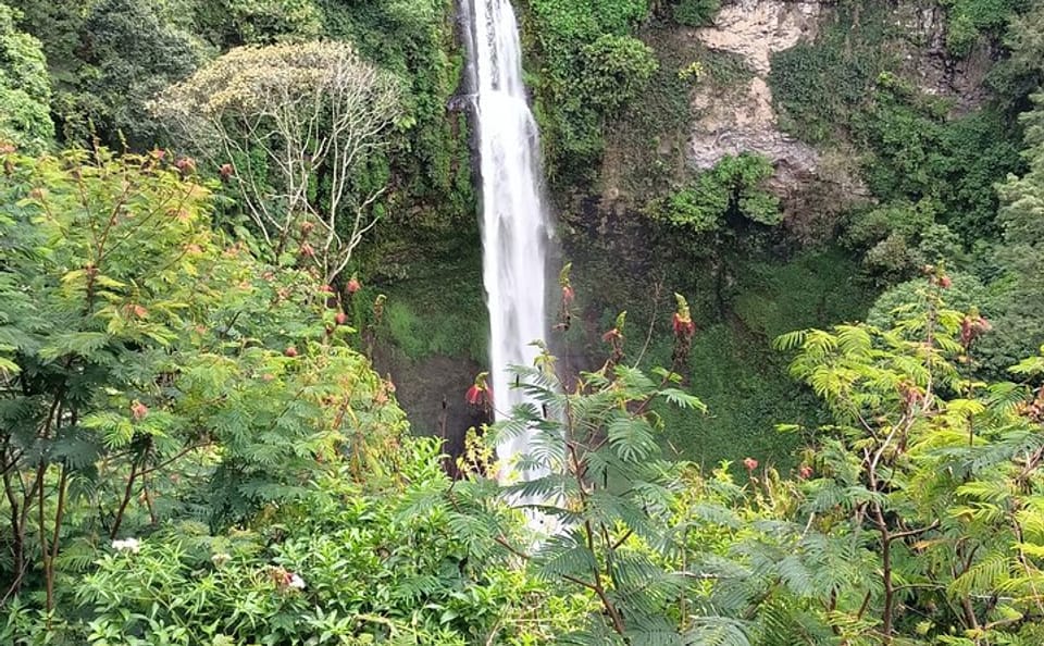 Bogor Botanical Garden, Waterfall and Rice Terrace Tour