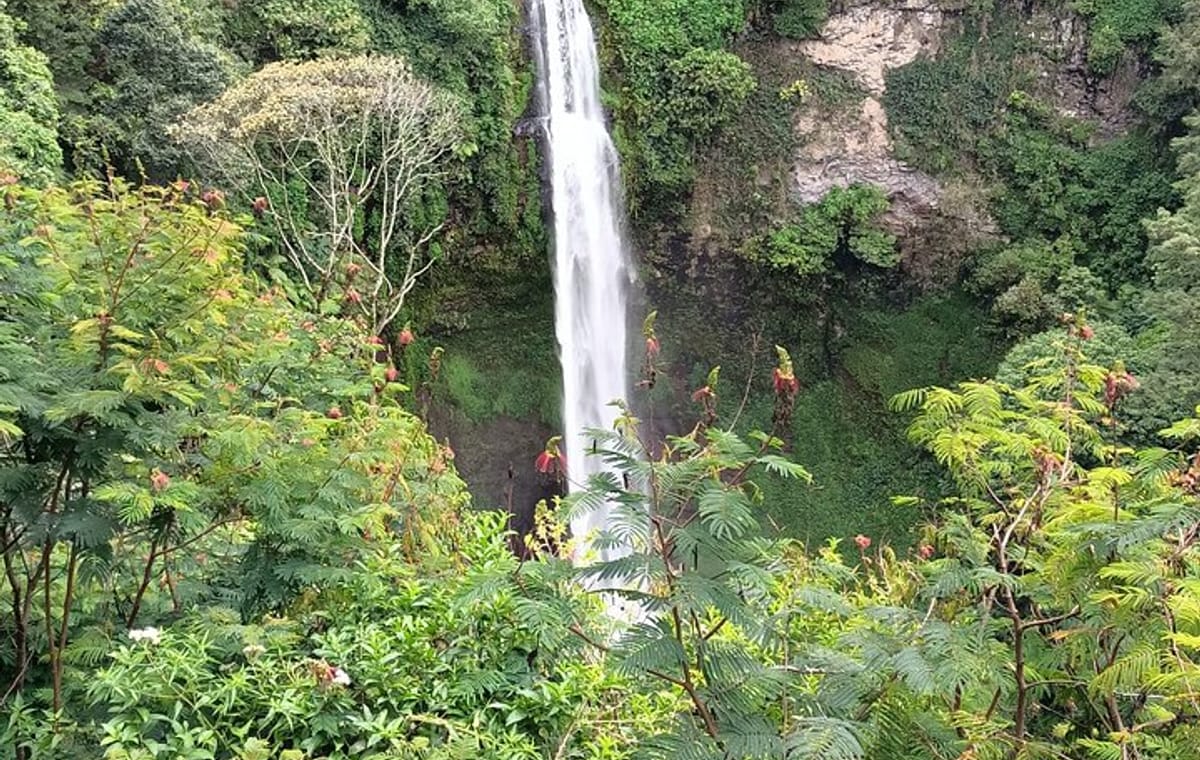 Jakarta Bogor Botanical Garden, Waterfall and Rice terrace, Lunch