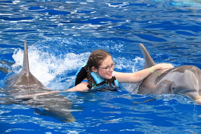 Dolphin Swim Adventure at Gulf World Marine Park photo 2