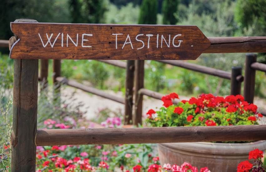 Brunello di Montalcino Wine tour from San Gimignano