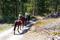 Private Cascades Waterfall Horseback Riding Tour from Smolyan 1