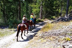 Private Cascades Waterfall Horseback Riding Tour from Smolyan