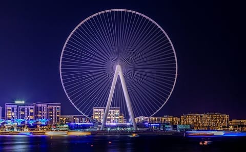Private Night City Tour and Dinner in Dubai