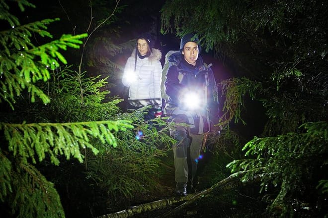 night walk in a national park