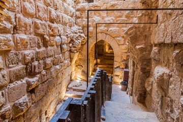 Private Tour of Jerash and Ajloun from Amman