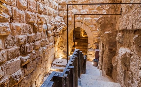 Private Tour of Jerash and Ajloun from Amman