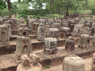 Bhubaneshwar Cultural and Wildlife Tour to Bhitarkanika and Similipal