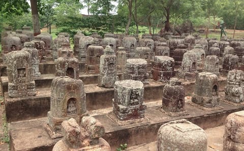 Bhubaneshwar Cultural and Wildlife Tour to Bhitarkanika and Similipal