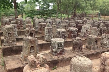 Bhubaneshwar Cultural and Wildlife Tour to Bhitarkanika and Similipal
