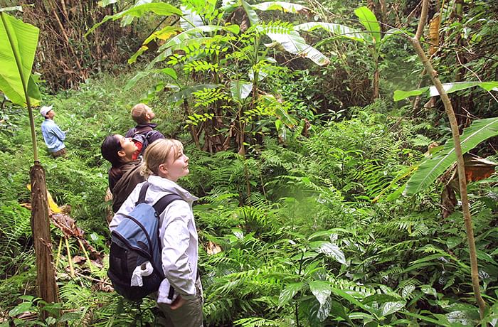 Cat Ba Trekking & Kayaking Adventure: Explore Hidden Gems of Lan Ha Bay