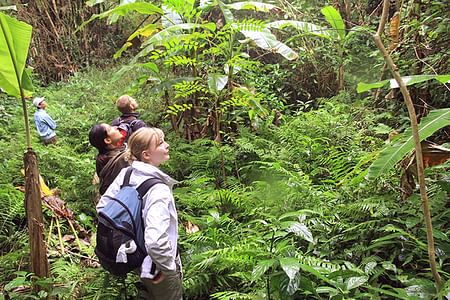 Cat Ba Trekking & Kayaking Adventure: Explore Hidden Gems of Lan Ha Bay