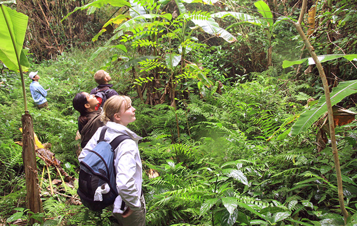 Cat Ba Trekking & Kayaking 3 days 2 nights