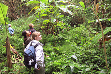 Trekking and Kayaking Adventure in Cat Ba National Park