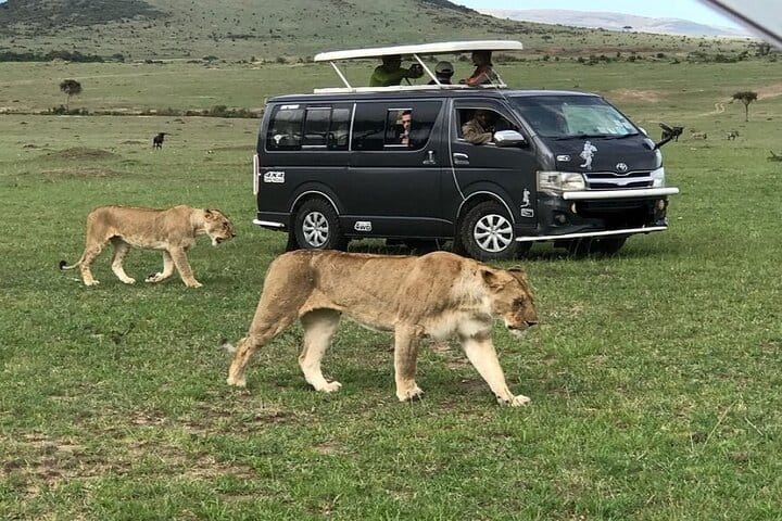 Nairobi National park ,Giraffe Center & Bomas Cultural Dance Show 2