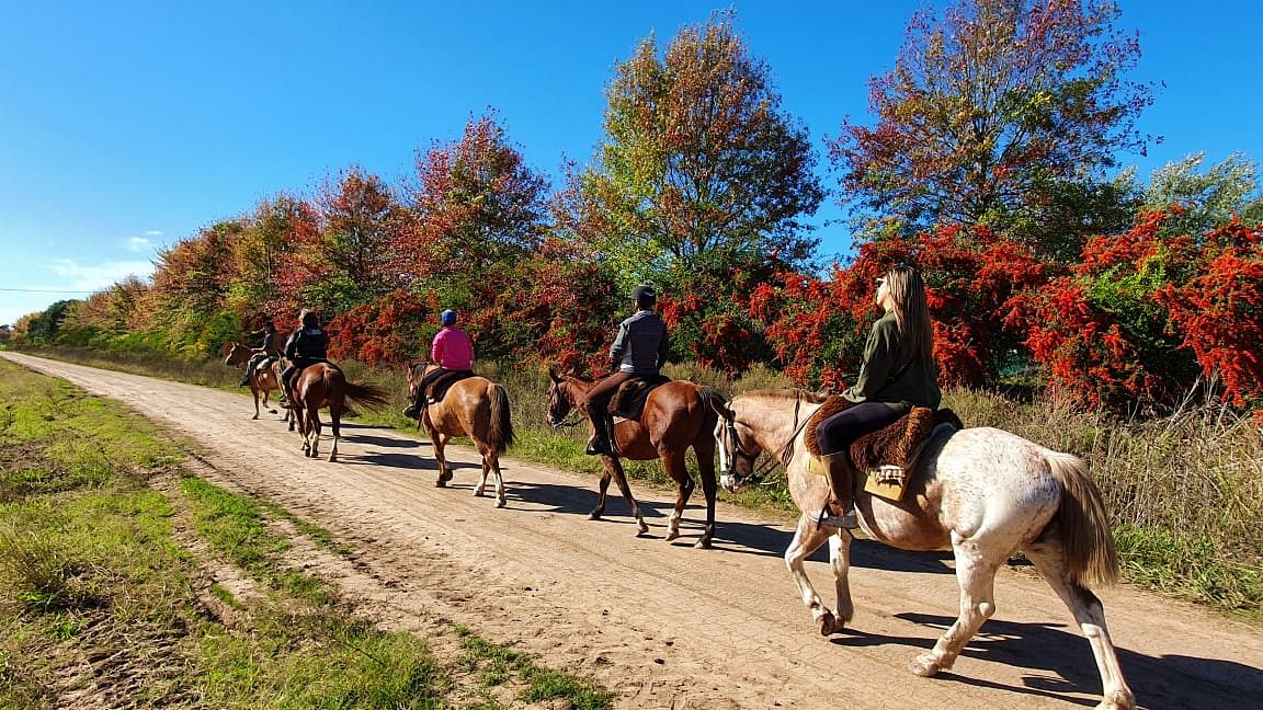 Horseback Riding Adventure in Carlos Keen, Buenos Aires Pampas