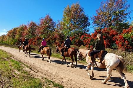 Horseback Riding Adventure in Carlos Keen, Buenos Aires Pampas