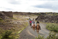 Reykjavík Whales & Horses 4
