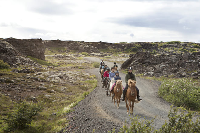 Reykjavík Whales & Horses