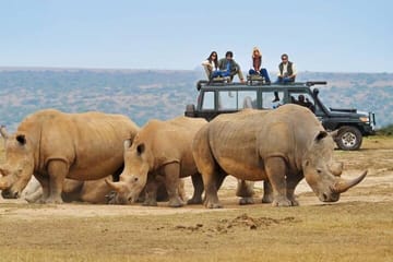 5 Day Wildlife and Gorilla Safari in Africa