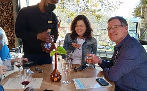 Private Full Day Winelands Tour from Cape Town to Franschhoek