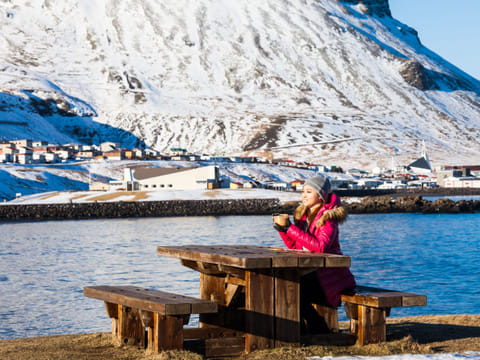 Grundarfjörður Cruise Tour: Snæfellsnes Peninsula from the port, photo 2