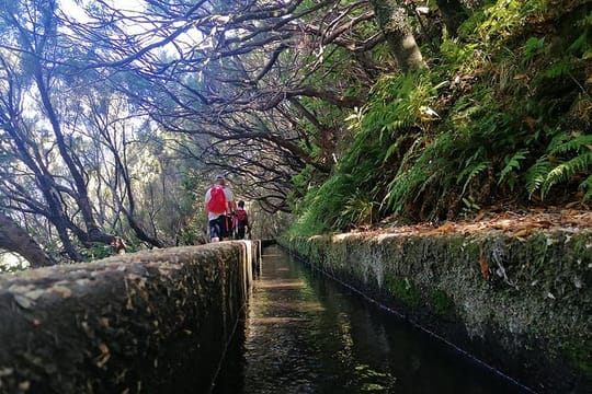 PR6 Levada Wood : Rabaçal - 25 Sources