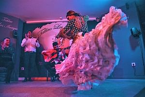 Flamenco, Tapas and Wine tour- by OhMyGoodGuide