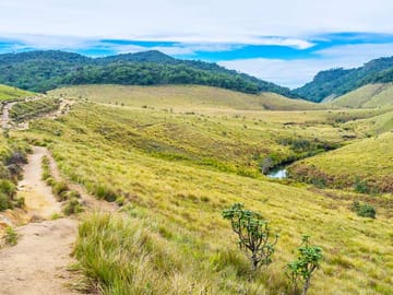 Horton Plains and Tea Estate Day Trip in Nuwara Eliya