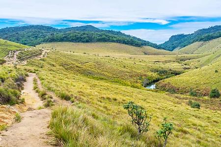 Horton Plains Adventure & Tea Estate Experience in Nuwara Eliya