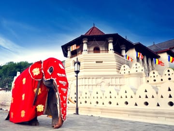 Cultural Tour of Katunayake, Sri Lanka for Budget Travelers