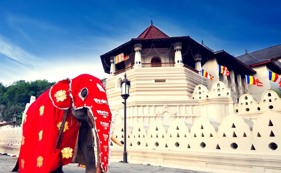 Cultural Tour of Katunayake, Sri Lanka for Budget Travelers