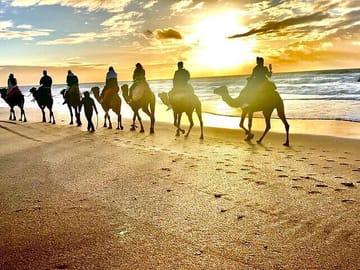 Step into the magic of Morocco — a journey through Tangier’s history and Asilah’s art.