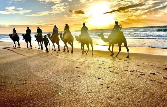 Tangier & Asilah: Luxury Private Tour from Malaga or Tarifa