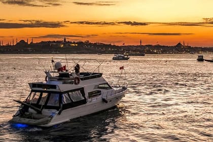Private Istanbul Bosphorus Yacht Cruise