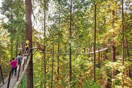 Vancouver, Capilano Suspension & Grouse Mountain Private Tour