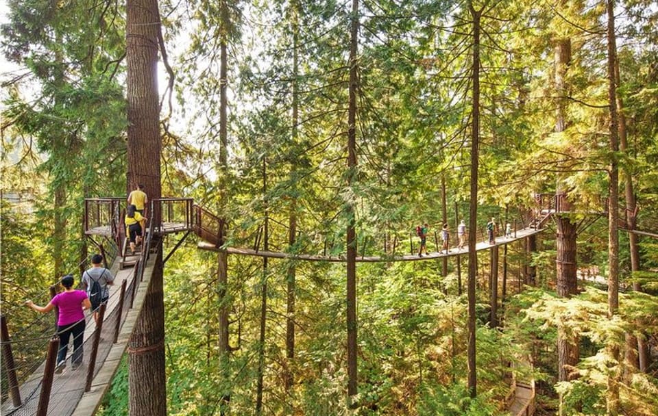 Vancouver, Capilano Suspension & Grouse Mountain Private Tour