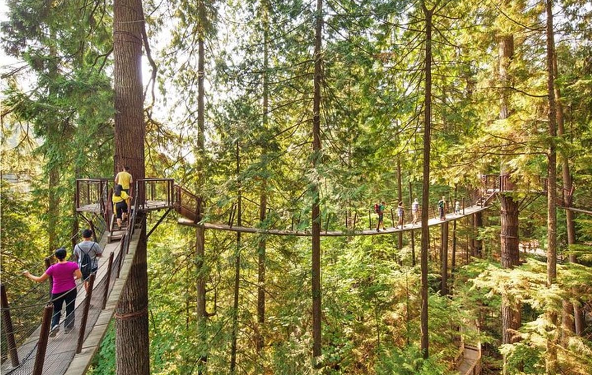 Vancouver, Capilano Suspension & Grouse Mountain Private Tour