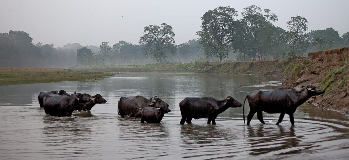 19 Days Mera Peak Climbing & Expedition – One Life-Changing Himalayan Adventure