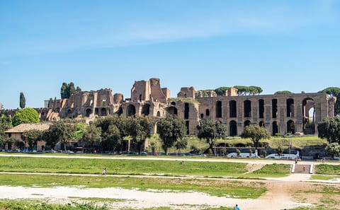 Colosseum, Roman Forum & Palatine Hill Entry in Rome