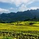 Pu Luong Nature Reserve 2 Days 1 Night Daily Depart From Hanoi