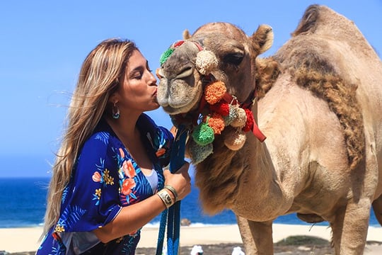 Cabo Camel Ride Experience