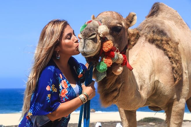 Cabo Camel Ride Experience 2