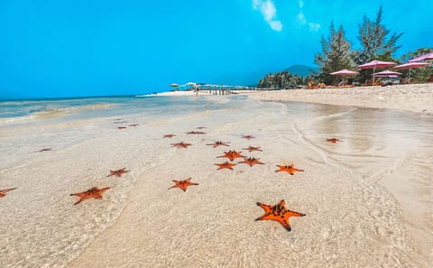 Cultural Highlights Tour of Hanoi and Ha Long Bay