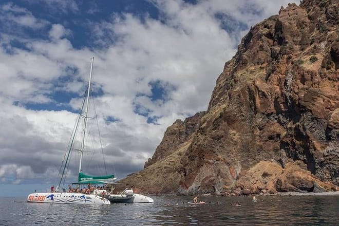 Cabo Girão Skywalk, Vineyards, Wine Tasting Tour in Open Roof 4x4 & Dolphin Watching 2
