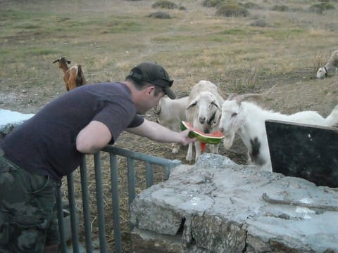Visit the Farm - Enjoy Animals and Nature in Mykonos