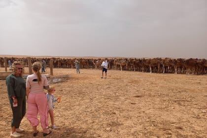 3-Day 2-Night SAHARA Tour South Tunisia Splendors DOUZ and TOZEUR