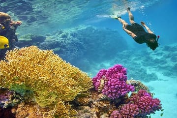 Snorkeling and Sailing Adventure to Orange Bay, Giftun Island