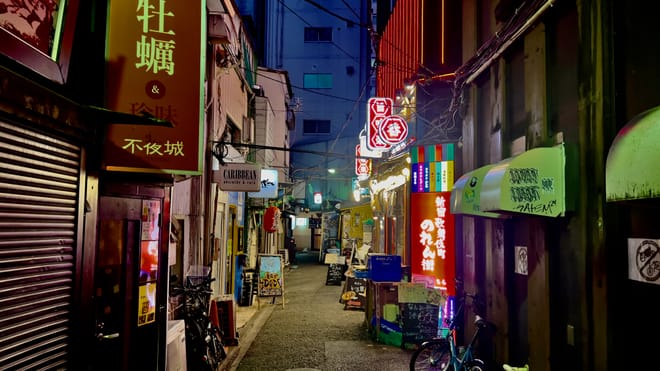 Tokyo Local Food and Drink Experience with a Bar Hopping Master